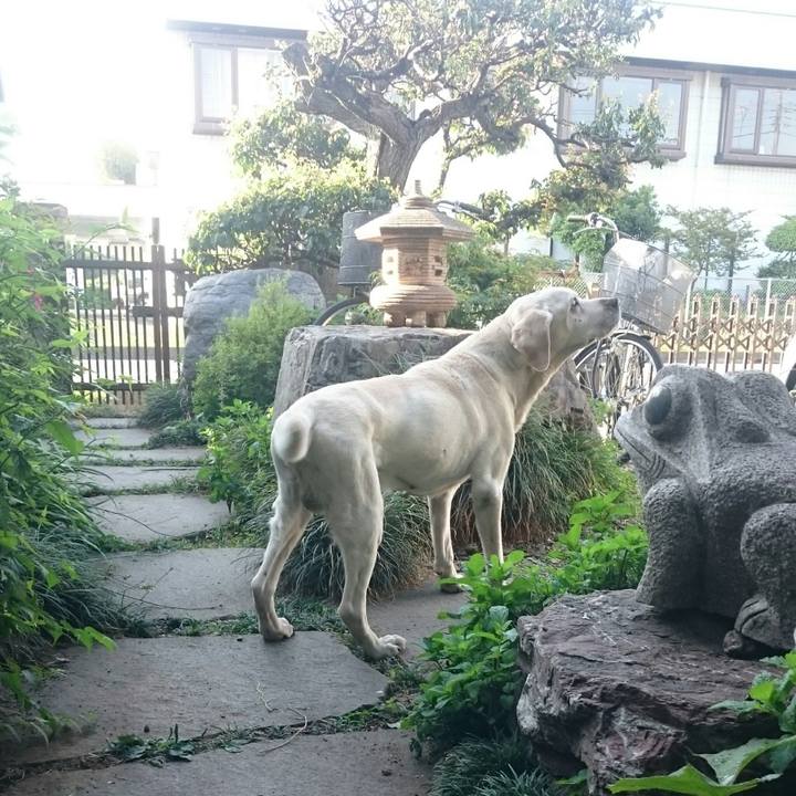 90a03d32 7273 4645 9808 1edee2663429