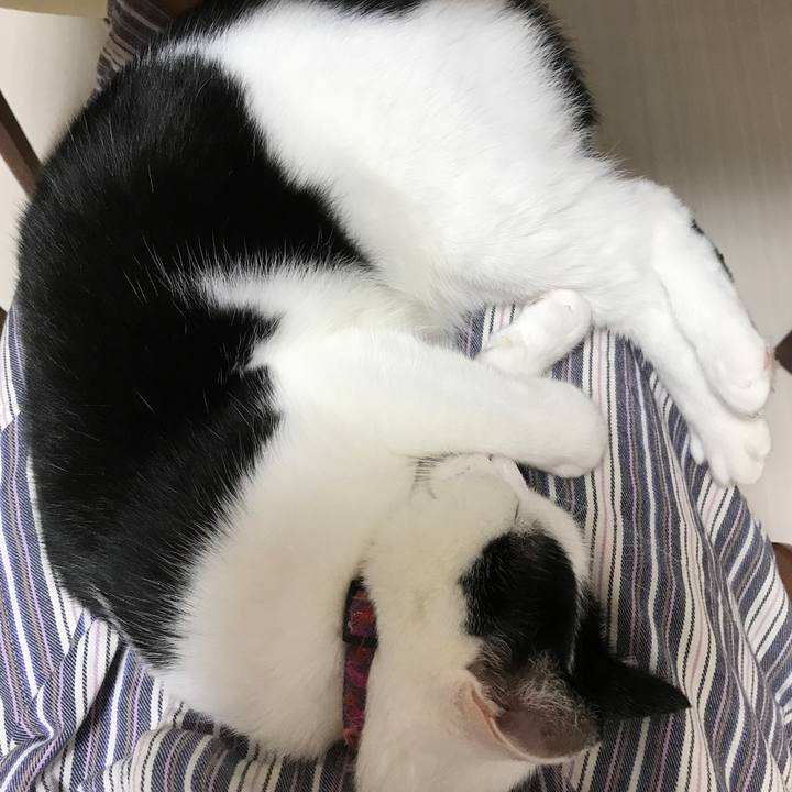 90a08373 5db3 47ac 8be2 7c53313970ec