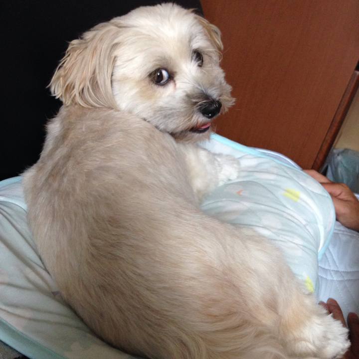 90a1d30c c3df 4e6a b667 bd3e0f9be8df