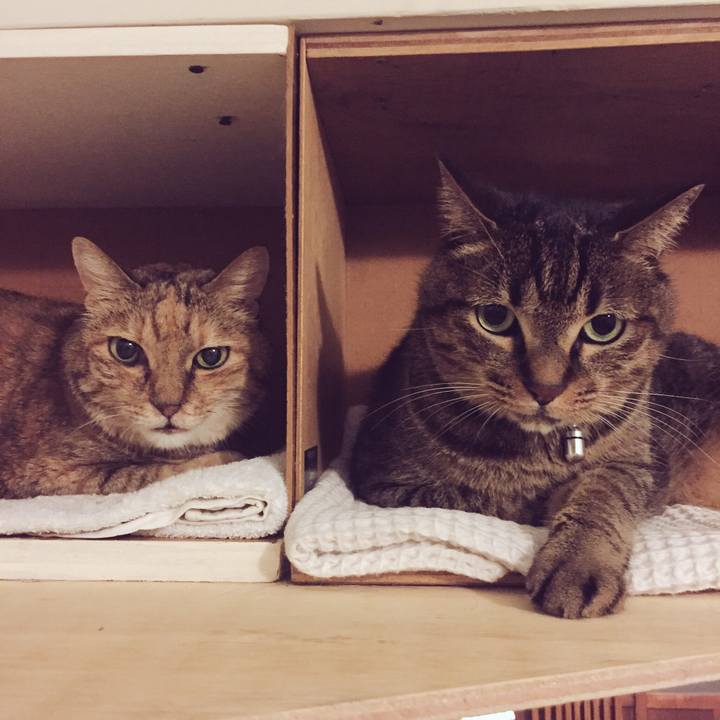 90a22759 2756 4e4d adeb 9159e11620b5