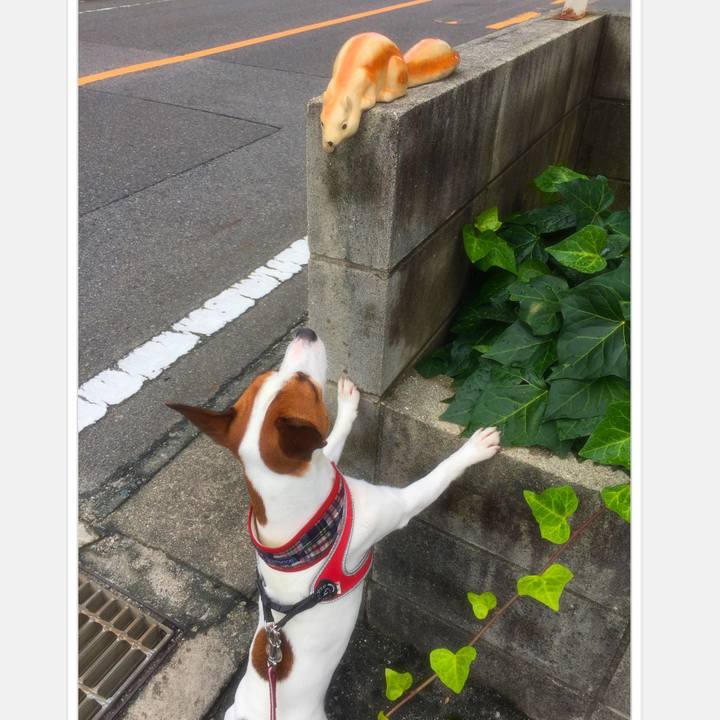 90a2692b 00b5 4a6d 8213 dbfa68d37a96