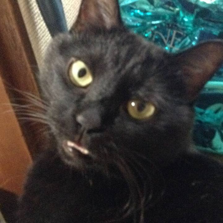 90a31d3b badb 4764 ac20 8081d2670cc7