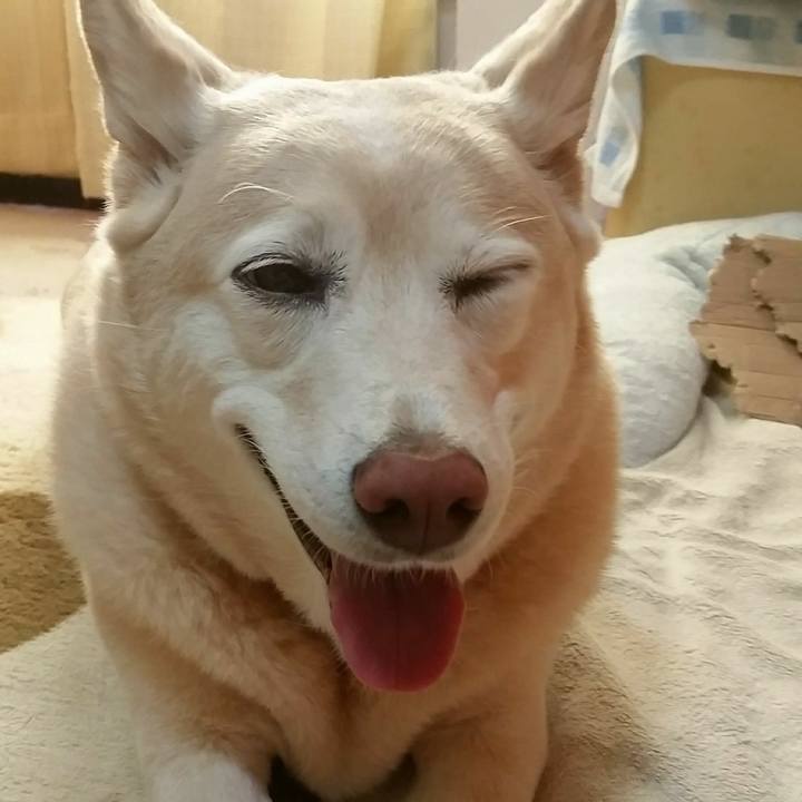 90a3843c 68a8 453c 9a11 4eb08b06497e