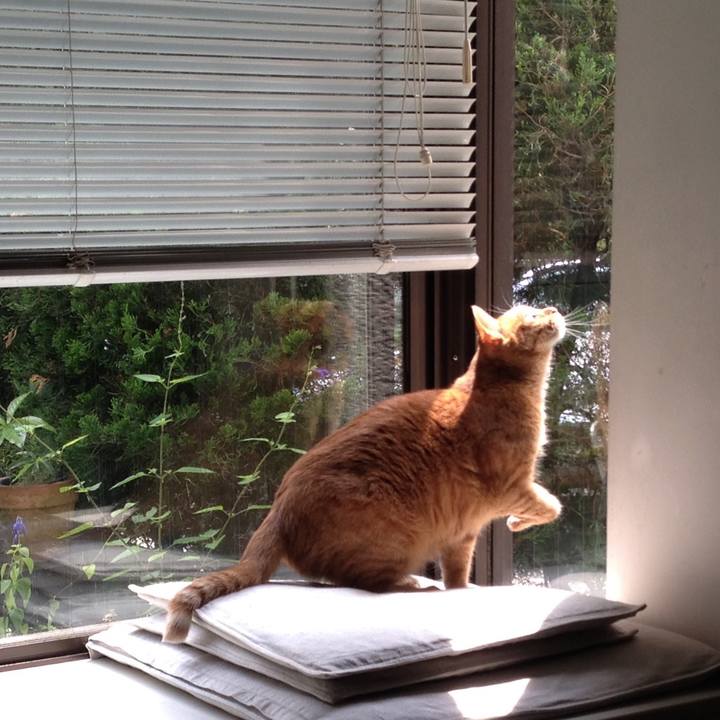 90a39b2c f64c 4725 b4bf 826cd5d71425