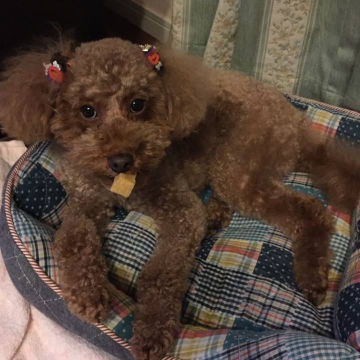 90a4503c 143b 47fa 9cb5 82a859493762