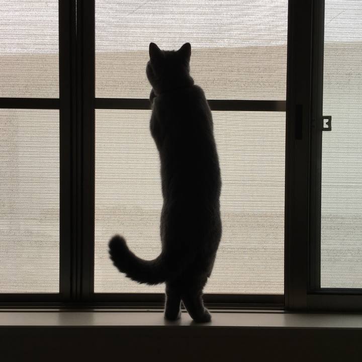 90a47966 2a39 47b0 817e 5d8e2a300069