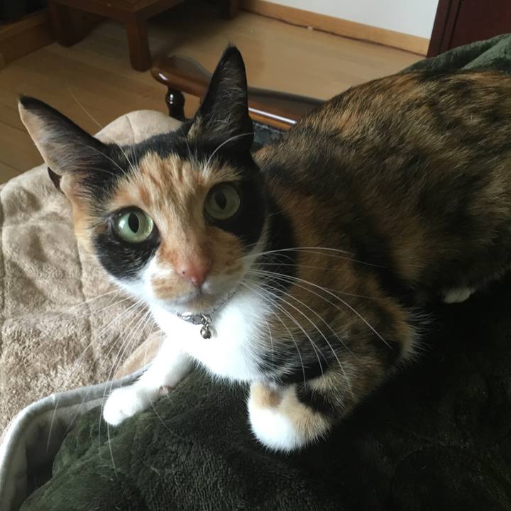 90a47f51 85b4 4e8d bb13 a48435eab372