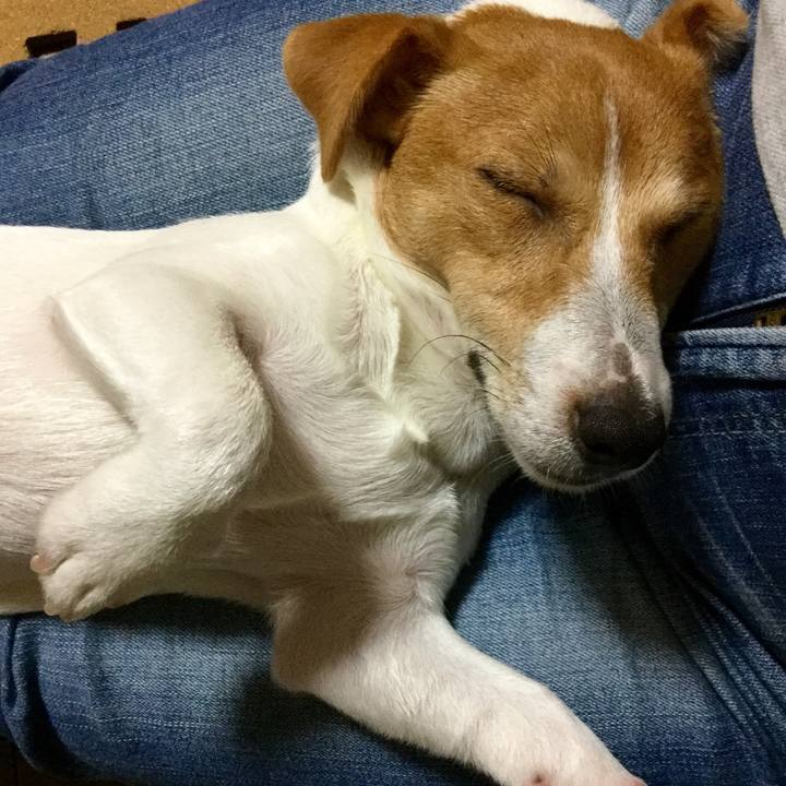 90a480d7 c66e 4a5e 94a1 e17d854dfb1a