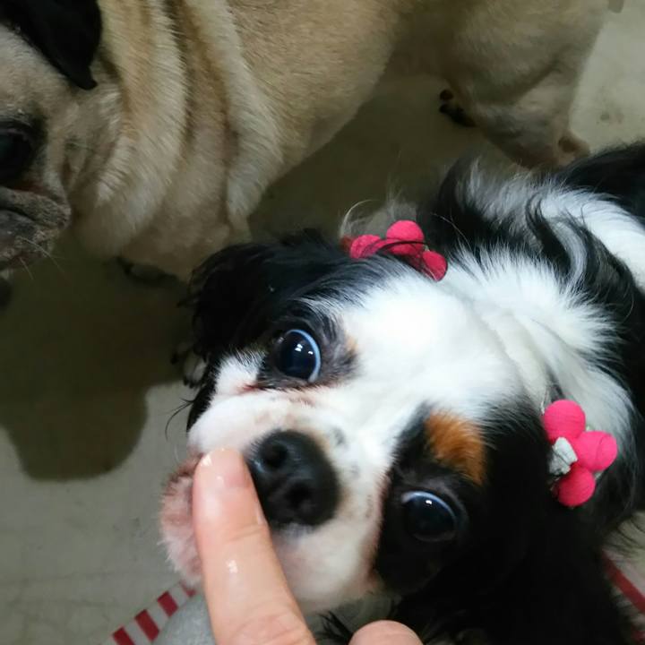 90a52d30 e43c 485f 9526 b3f2da03b334