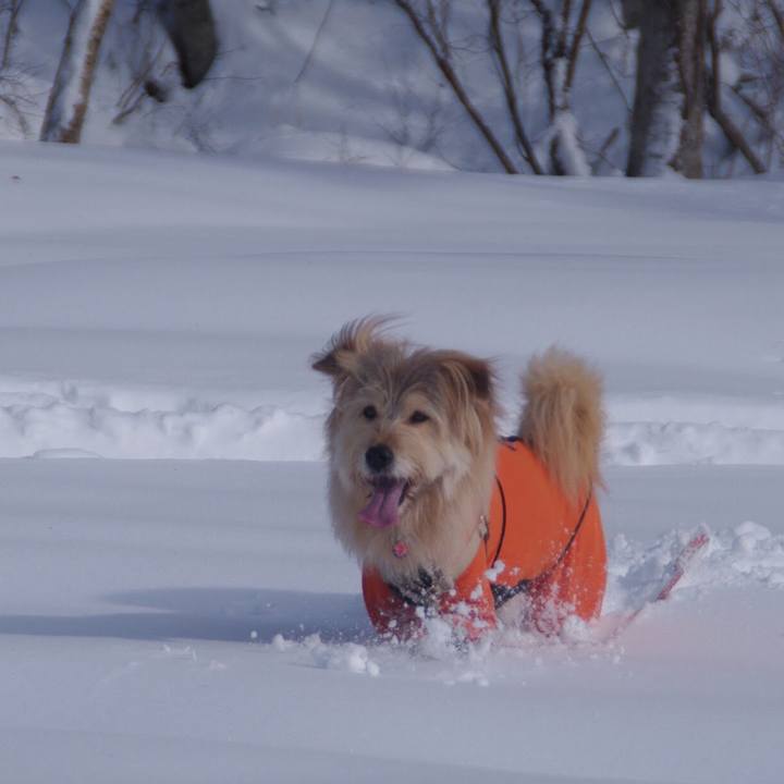 90a53793 e0c0 4a54 9541 54d0a277b1cc