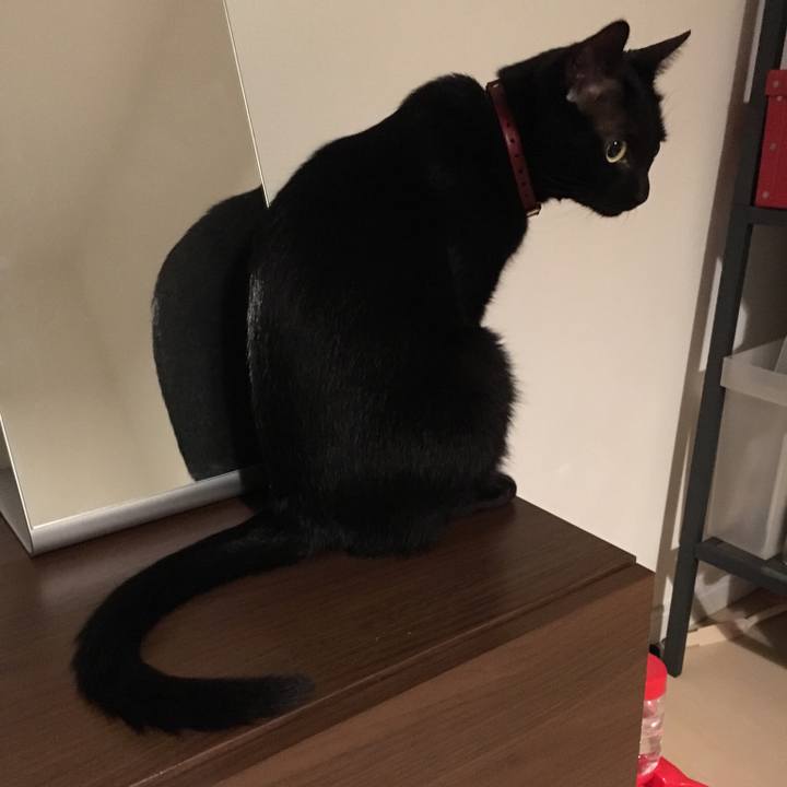 90a54deb 8d7f 499f bebb da31392a62a8