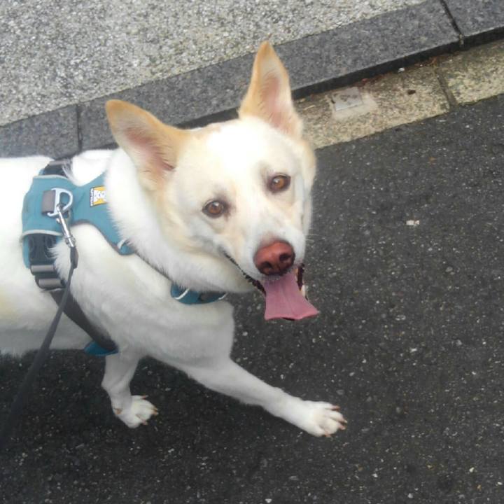 90a639fc 1e5a 493b 8cc3 242c0362da34