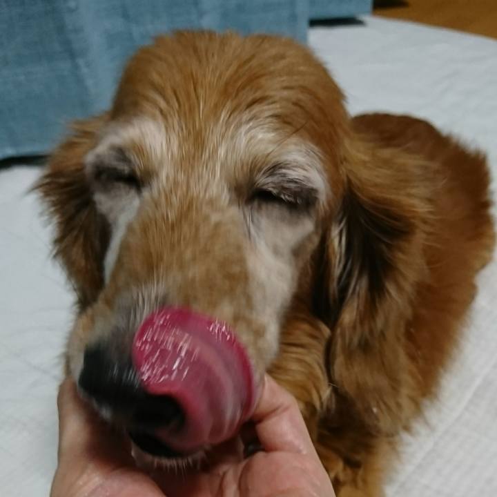 90a7135e 10a0 42f5 ad09 439395d65a88