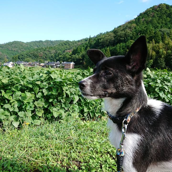 90a7b558 941c 46b7 86b9 67561316cfff