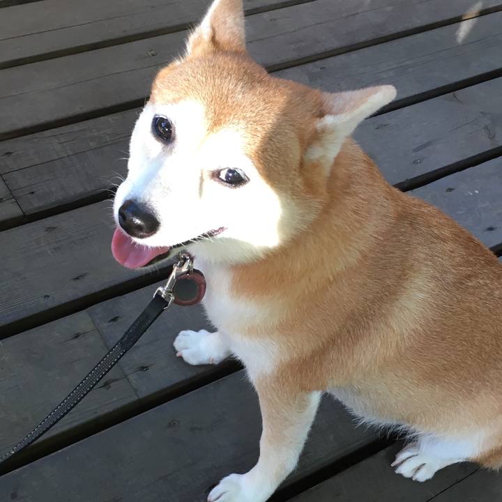 90a7e341 84a5 4940 b08e 9830b1c353f8