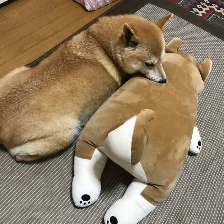 90a9725a d3a0 4d14 aaea 53b3292f2d47