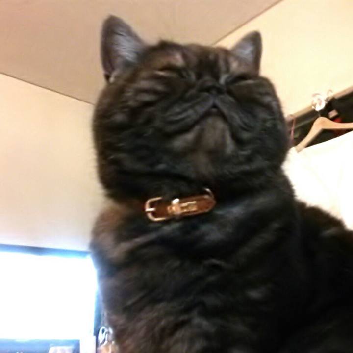 90a9e86b 2de9 49f0 94ea 86ec6536b4e0