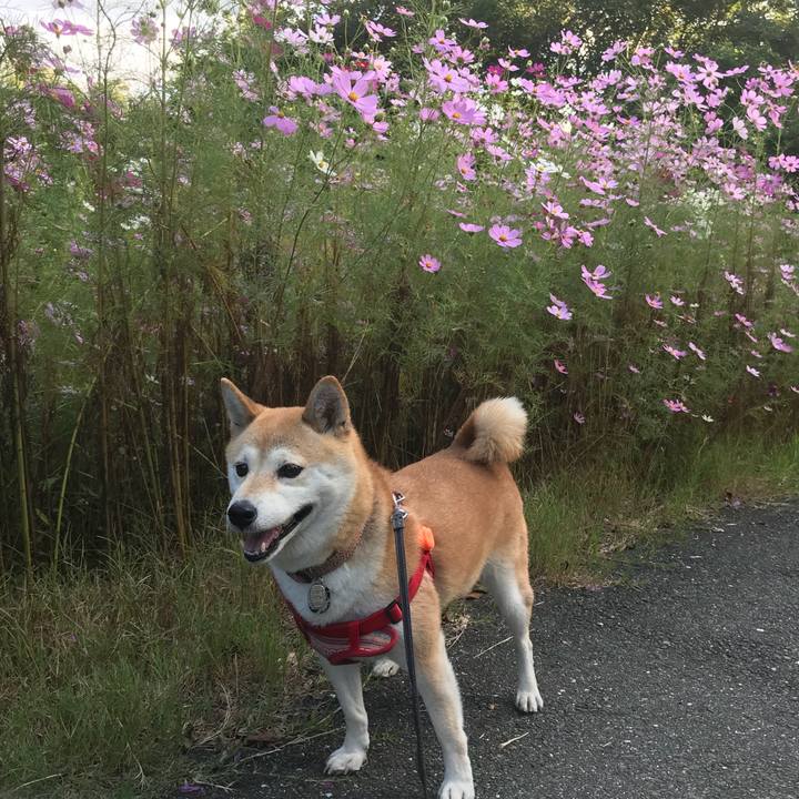 90ab07c9 f0a0 46b0 a56a 7e1b7654c2a4