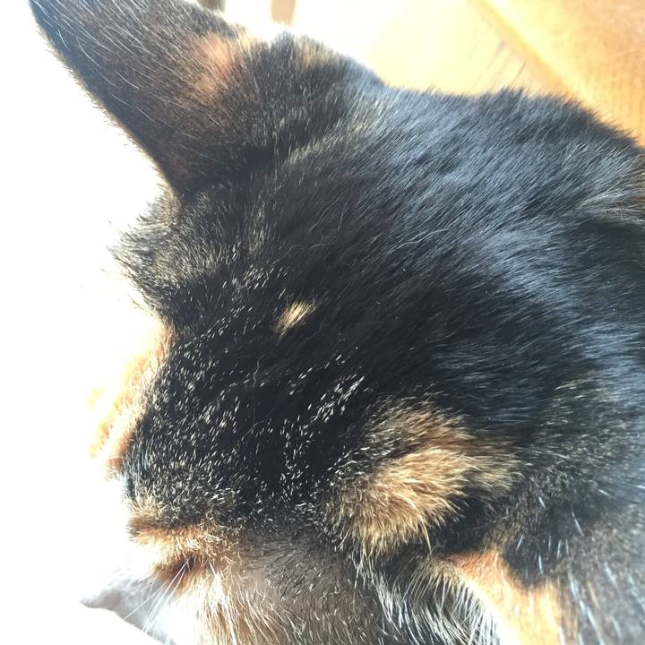 90ab0ffc 2083 4ea9 996a 98df78f64202