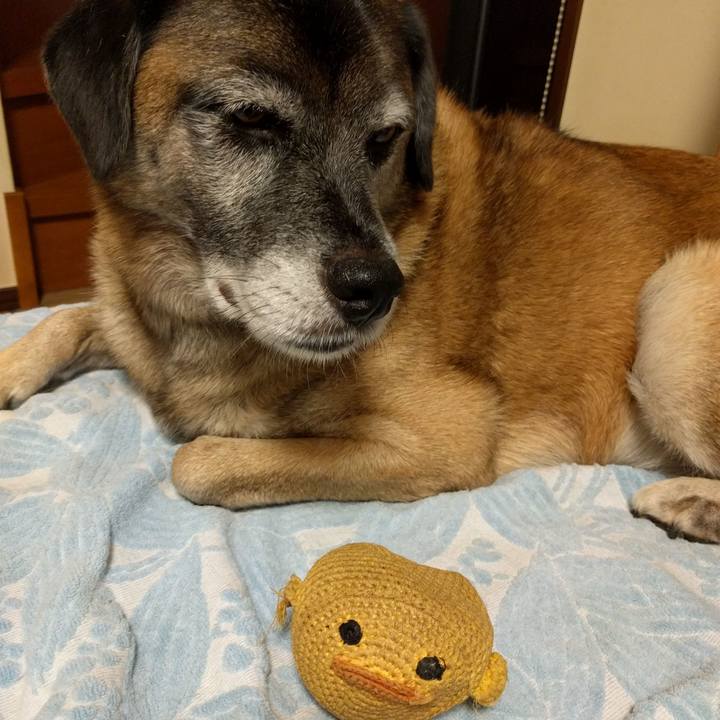 90ab3017 ad9b 4ff9 a89f c3751b815637