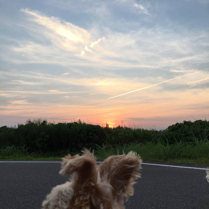 90ab80c4 42a2 4b7a beaa c5c891decbcb