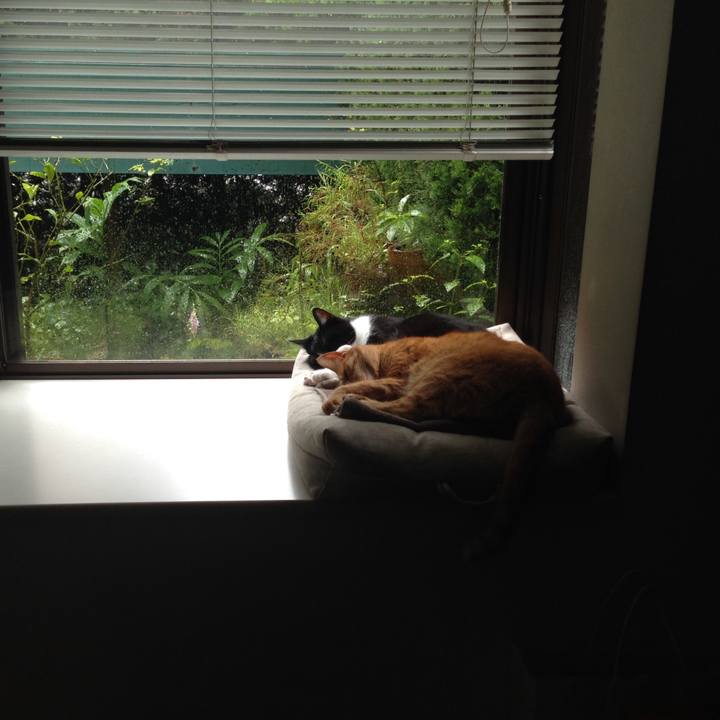 90ac2d4a 8979 437b bc84 c01025468f4a