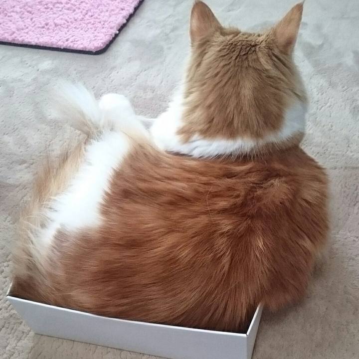 90ac4191 3642 423e 8bbc 2fd2e4d3bdcc