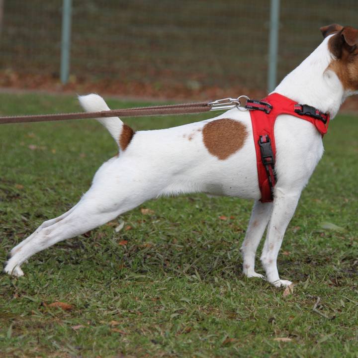 90acab5b ac89 4908 85f2 1f239324485b