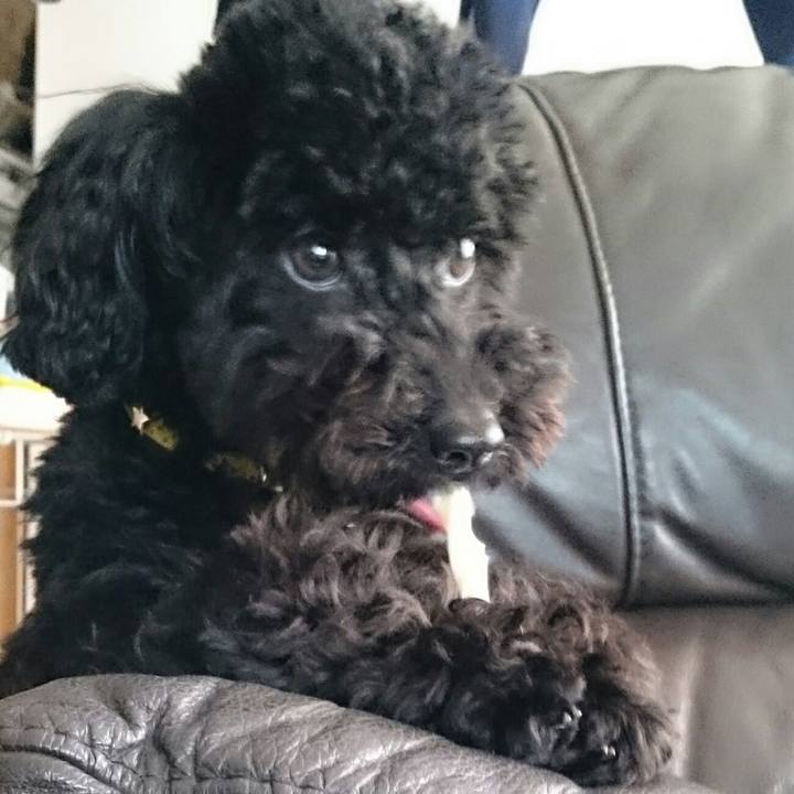 90acbd56 6f35 400b a3a2 9bec8fdb0be5