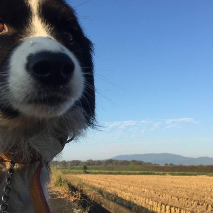 90acc03d acd7 4f0b a223 c19e95339300