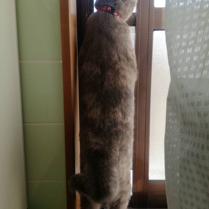 90acf303 76eb 4240 a9bd 4112f5e388ff