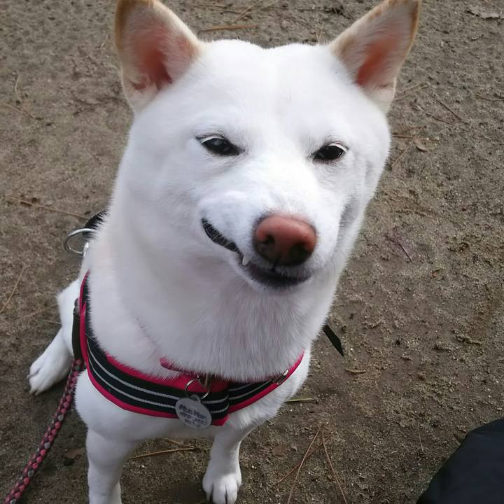 90ad0c93 aa26 4573 a967 0058536797a0