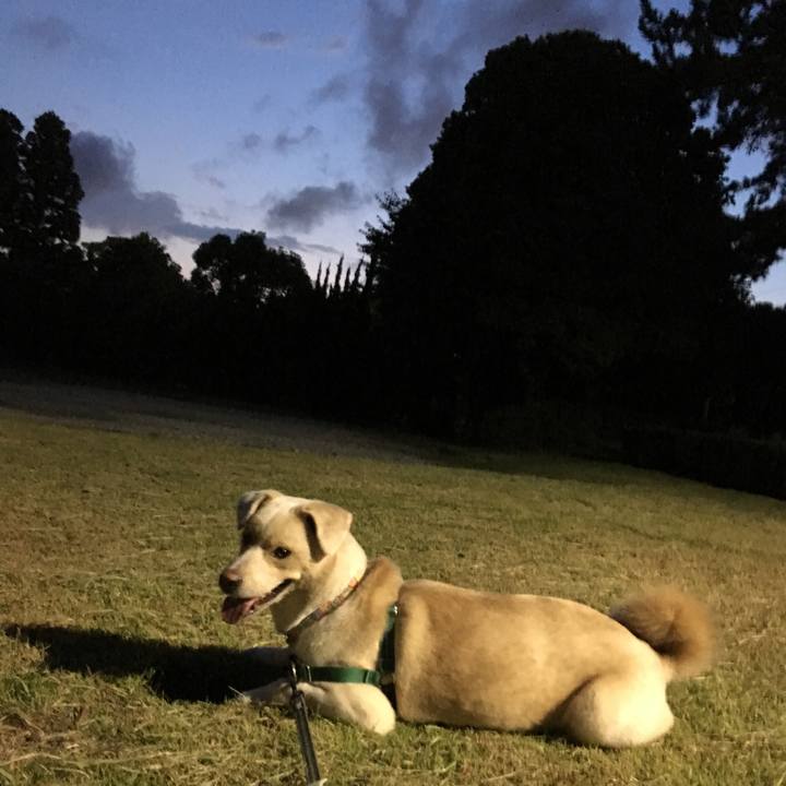 90ad34f4 c7cf 44b2 bd07 624b2f869339