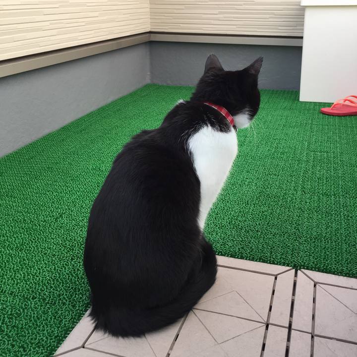 90ad6393 616b 4307 8dae 20db91e961ee