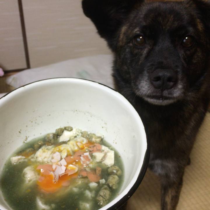 90adfaf5 6b11 4228 9b70 6ba59f7cb0cf