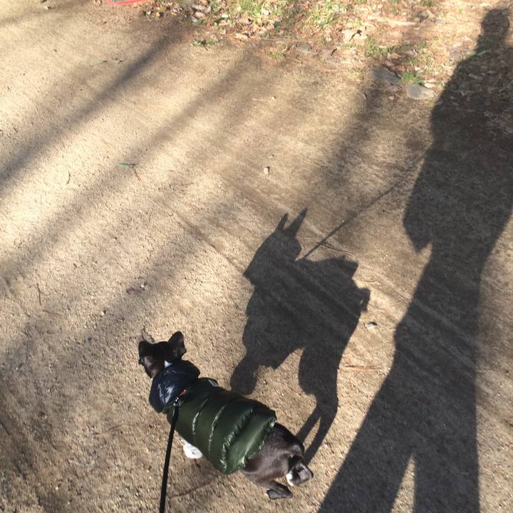 90ae54e7 f6d9 4a01 9a62 52c5544ec5a2