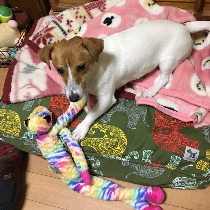 90aeb380 7ef7 4ac8 94d2 5503b0f7f41f