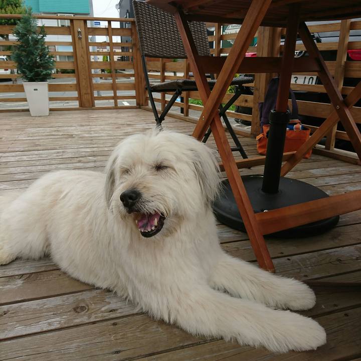 90aee9db 168c 405c b354 58f8910d02f6