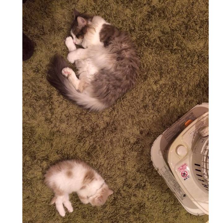 90af1e0e ac89 4567 ac7c c6f6724d467b