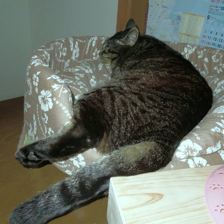 90af2f12 41cd 4455 a850 3c6f0fc48aba