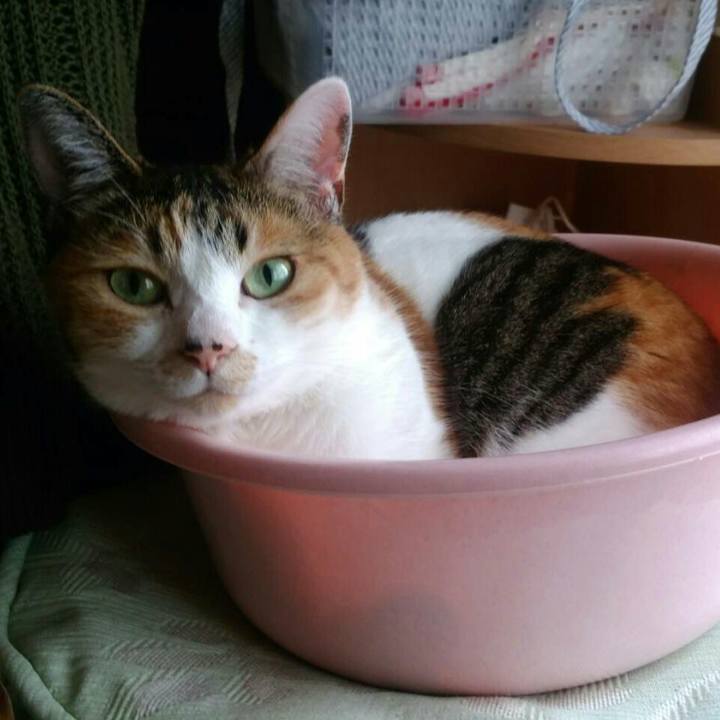 90af48c1 f66d 4038 8834 b3921046df59