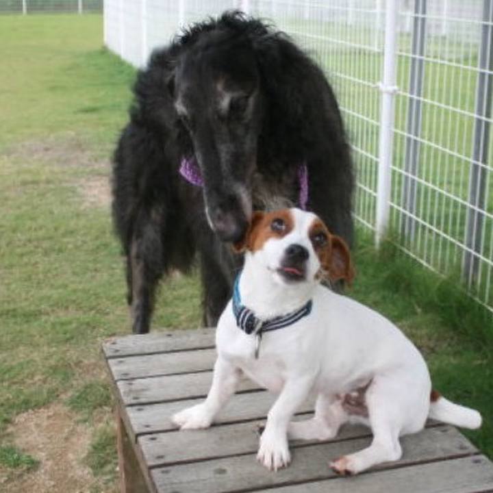 90af88e3 9f34 4088 ab39 6726268a163b