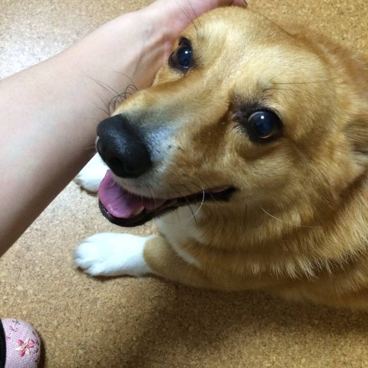 90afe9f4 fd5c 4f2b 8a53 faf37515f408