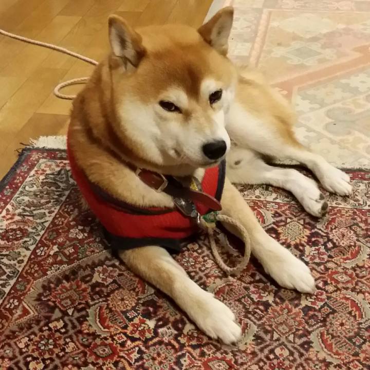 90b0255d bf8e 4f92 83ae 024bcfc1e5ef