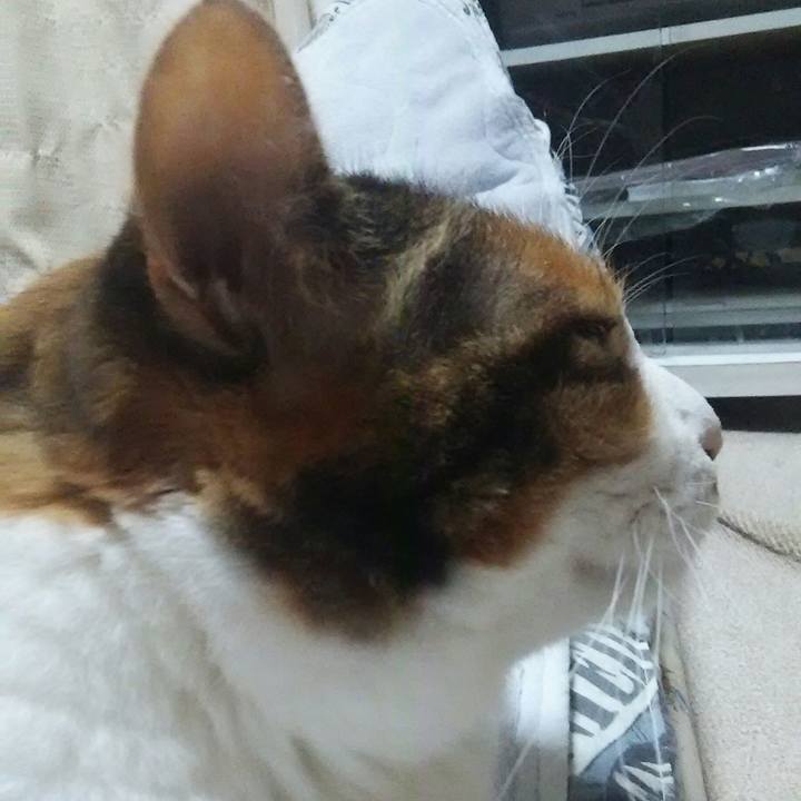 90b055e3 1c5b 4195 89e4 ebc42f1bd4d2