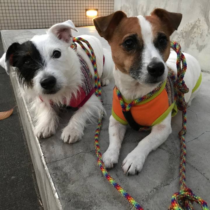 90b0f6a8 e7c5 4484 a42c d16be807b8e1