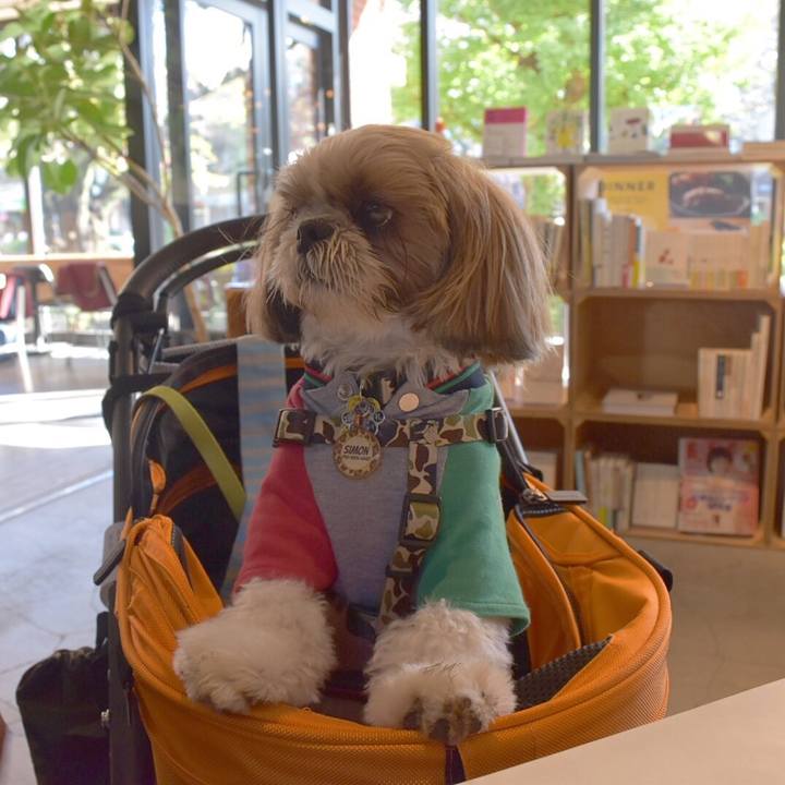 90b104f8 4d2e 407b a018 8630b14af56f