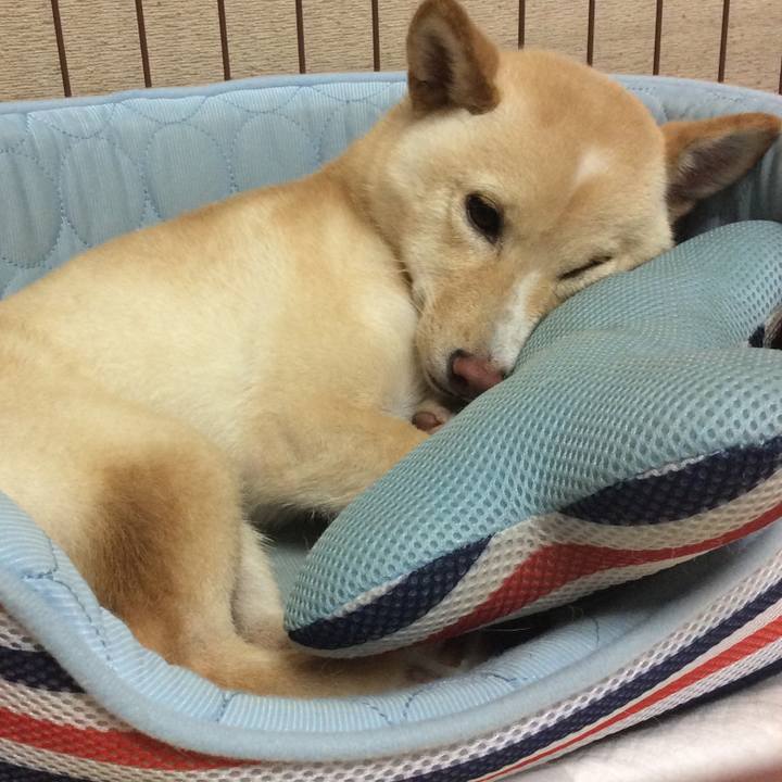 90b1f7c0 d110 462e a8b4 945ce888d40f