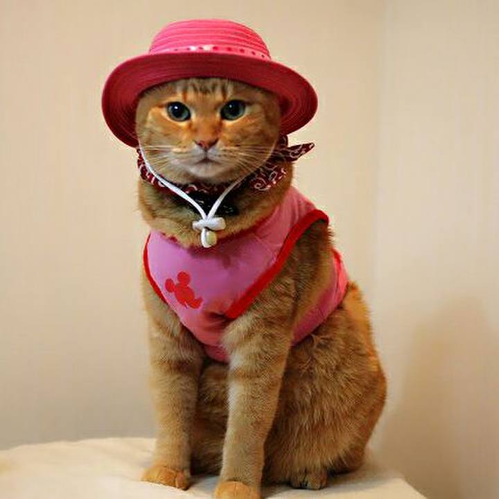 90b2ccee d6e5 49f0 acd6 39fea54f816a