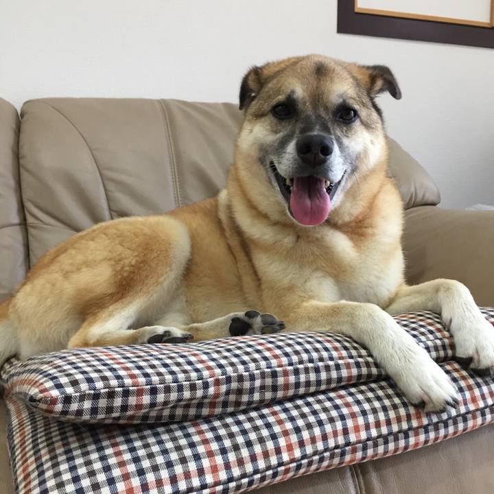 90b2f0c0 5006 4fa1 902f d231eb9f4c8d